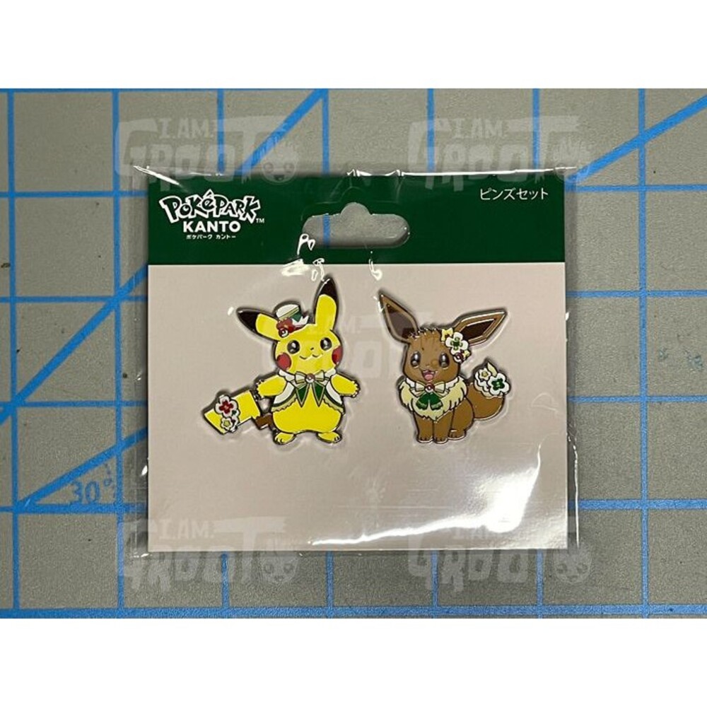 Pokemon PokePark Kanto Pikachu Eevee Pin Badge PokéPark Pokémon USA SELLER